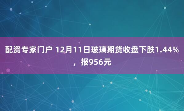 配资专家门户 12月11日玻璃期货收盘下跌1.44%，报956元