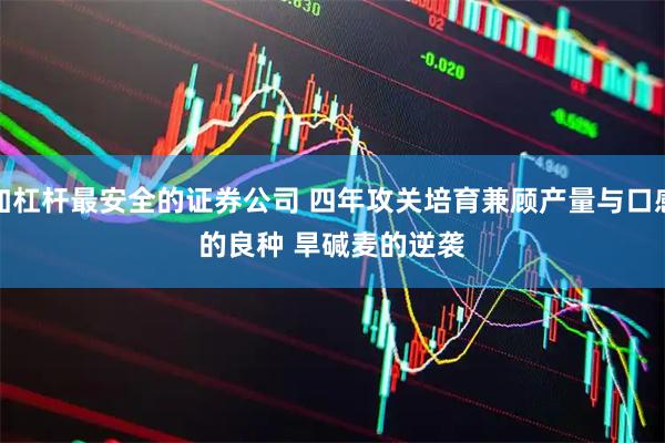 加杠杆最安全的证券公司 四年攻关培育兼顾产量与口感的良种 旱碱麦的逆袭