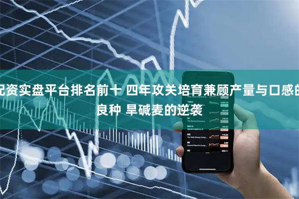 配资实盘平台排名前十 四年攻关培育兼顾产量与口感的良种 旱碱麦的逆袭