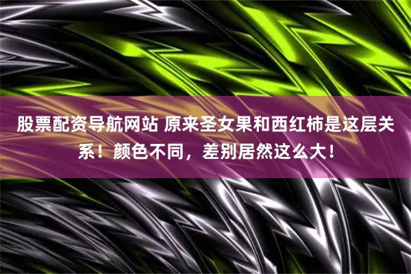 股票配资导航网站 原来圣女果和西红柿是这层关系！颜色不同，差别居然这么大！